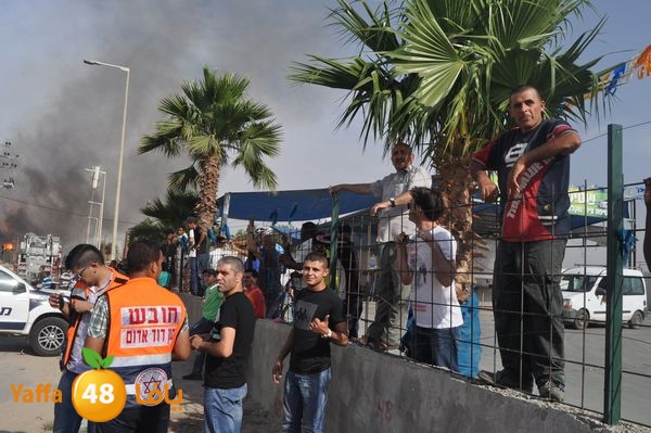 fireludkartoonmasna34 (45).JPG